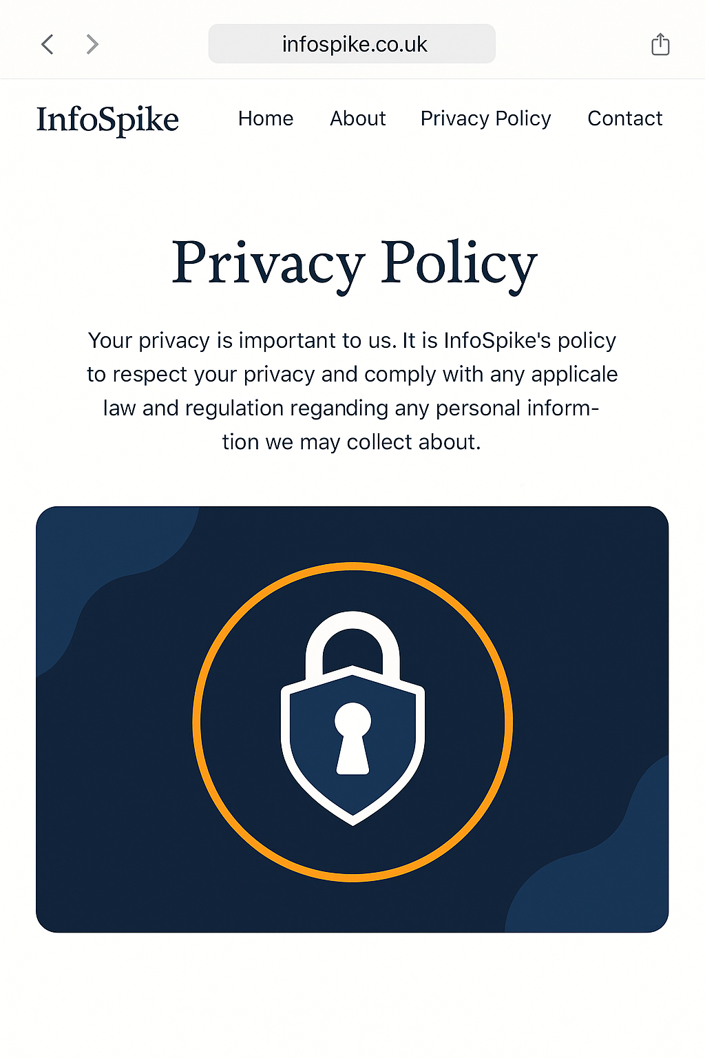 InfoSpike Privacy Policy – data collection, protection, and GDPR compliance